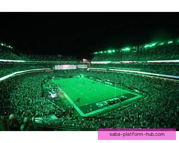 2026年世界杯体育场创新设计与未来足球赛场发展趋势分析